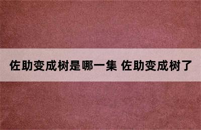 佐助变成树是哪一集 佐助变成树了